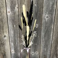 Trockenblumen " Black Beauty " mit Fluffy Pampas und Vase