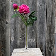 Pfingstrosen Paeonia Blüte mit Vase (Kunstblumen)