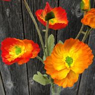 Mohn Papaver Blüten mit Vase (Kunstblumen)