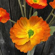 Mohn Papaver Blüten mit Vase (Kunstblumen)