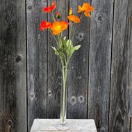 Mohn Papaver Blüten mit Vase (Kunstblumen)